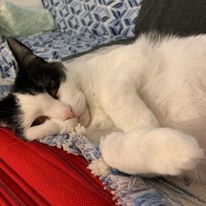 Meet your Posher, Elizabeth